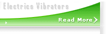 Electric vibrator 